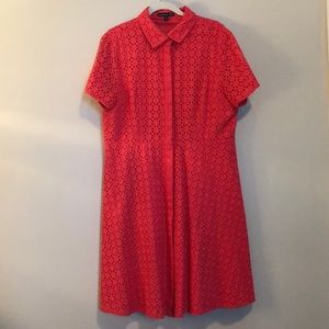 Preston & York Dress